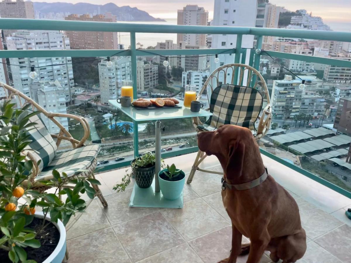 Traveler'S Beach Apartment With Sea View, Free Coffee & Parking Бенидорм Экстерьер фото